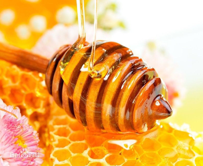 四川华蓥山优质土蜂蜜