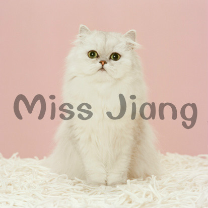 Miss jiang