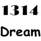 1314 Dream  韩国正品代购高品质女鞋！原单+潮流美鞋
