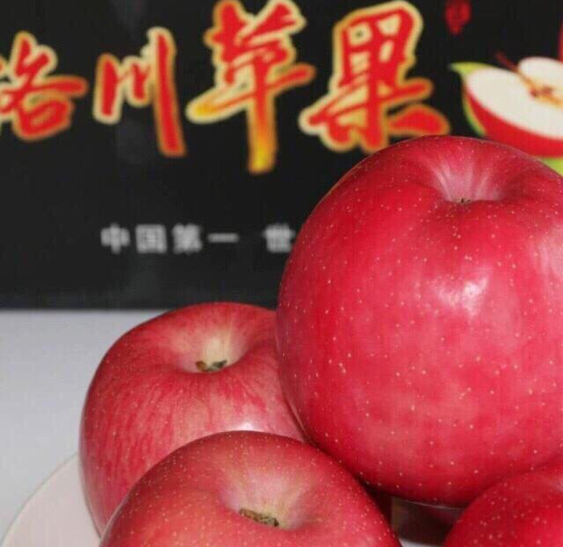 洛川苹果批发商电话