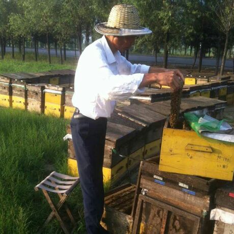 许氏农家蜂蜜园