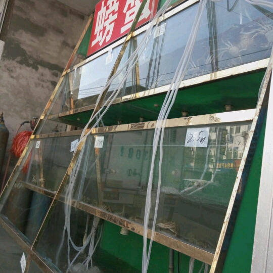 养殖小龙虾出售是正品吗淘宝店