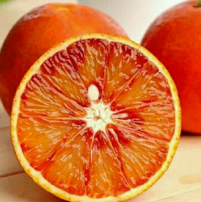 正宗四川资中塔罗科血橙新鲜水果有机橙子礼盒装  10斤箱