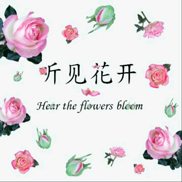 听见花开  Hear the flowers bloom淘宝店铺怎么样淘宝店