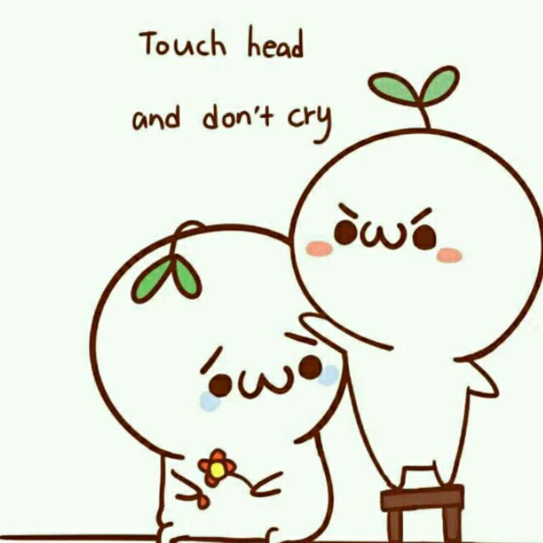 touch head and don't cry