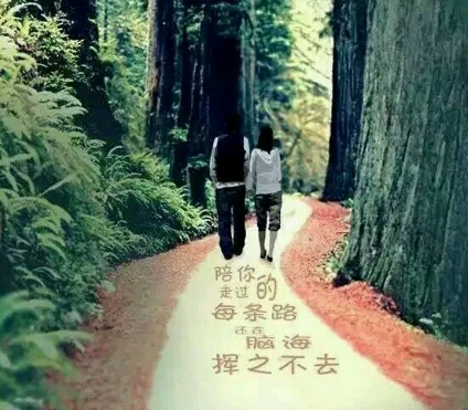 桅涯