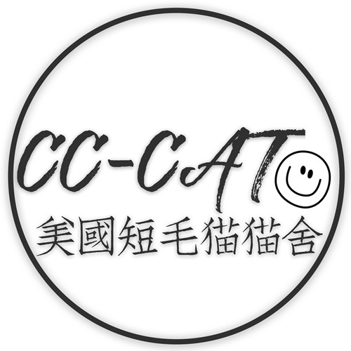 CC美国短毛猫 CFA美短猫舍