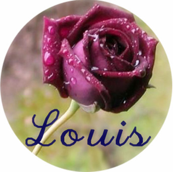 Louis 永生花馆