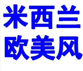 米西兰外贸服饰欧美风淘宝店铺怎么样淘宝店