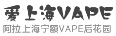 爱上海VAPER