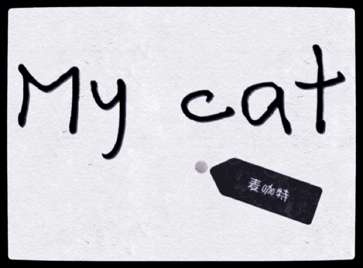 MY CAT小店