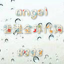 angel香港代购 8888