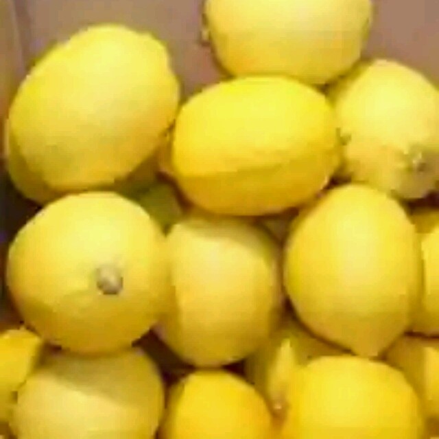 柠檬花开养生屋