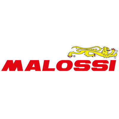 Malossi中国