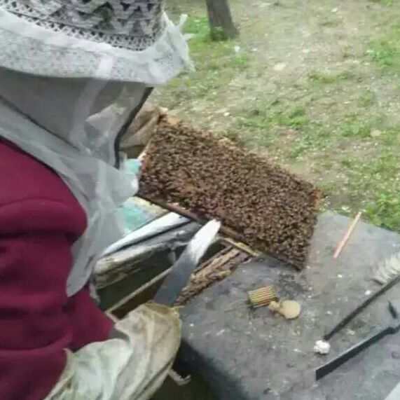 农家小院传统工艺蜂蜜