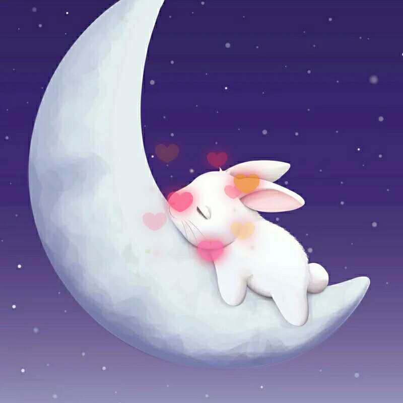 月亮上的小僵兔