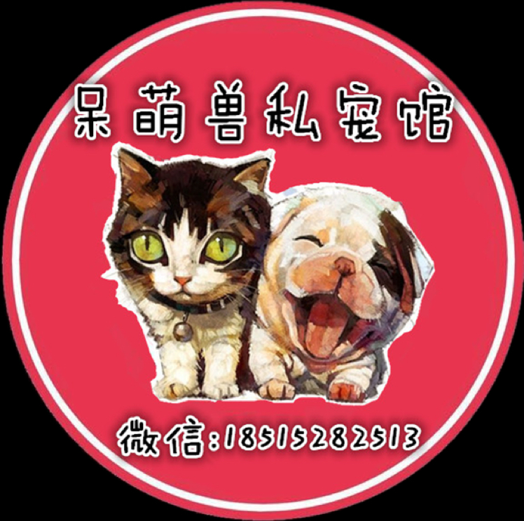 大象名猫