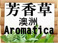 芳香草(澳洲Aromatica)