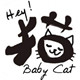 Hey! Baby Cat
