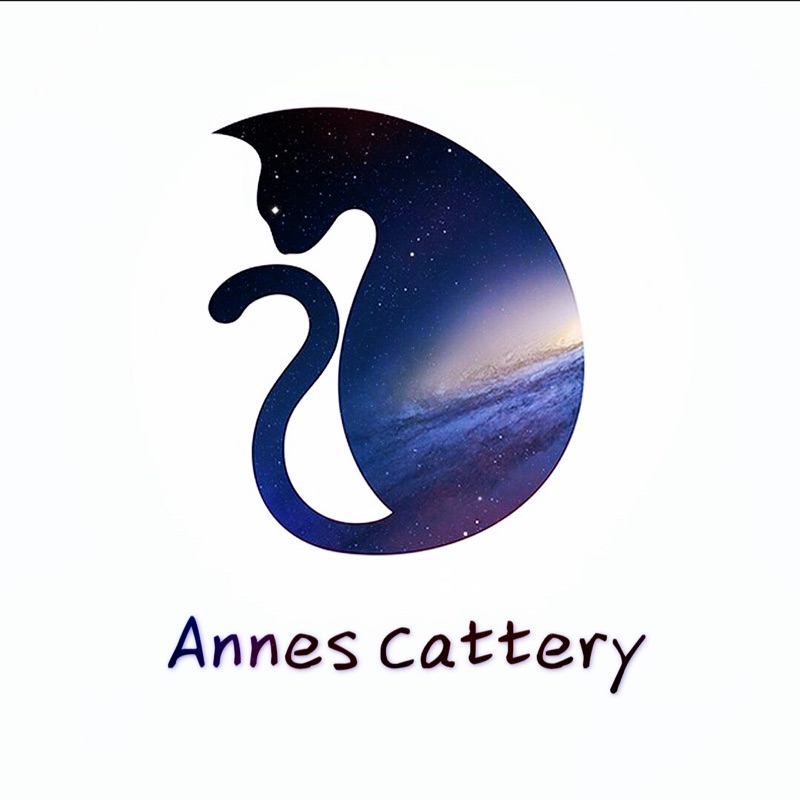 Annes Cattery猫舍