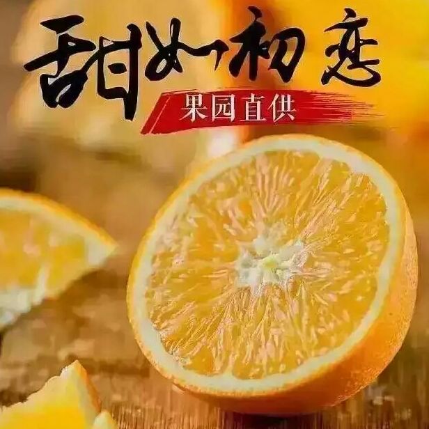 赣南寻乌农家鲜橙