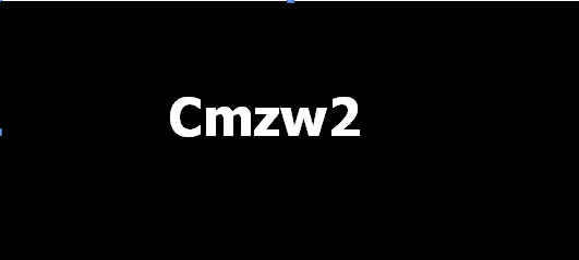CMZW2