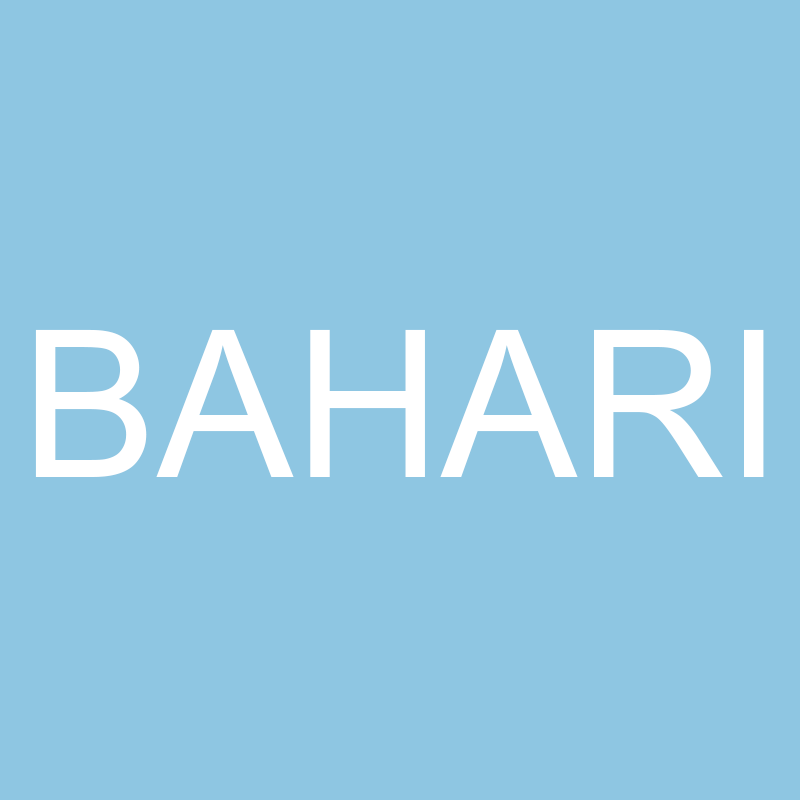 BAHARI男鞋品牌店