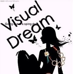 VISUAL DREAM