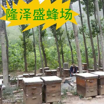 隆泽盛 自产自销纯天然蜂蜜