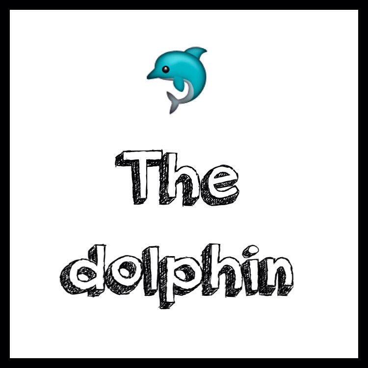 The dolphin是正品吗淘宝店