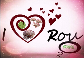 I LOVE ROU多肉植物馆