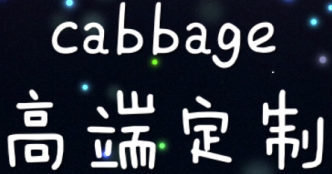 cabbage高端定制