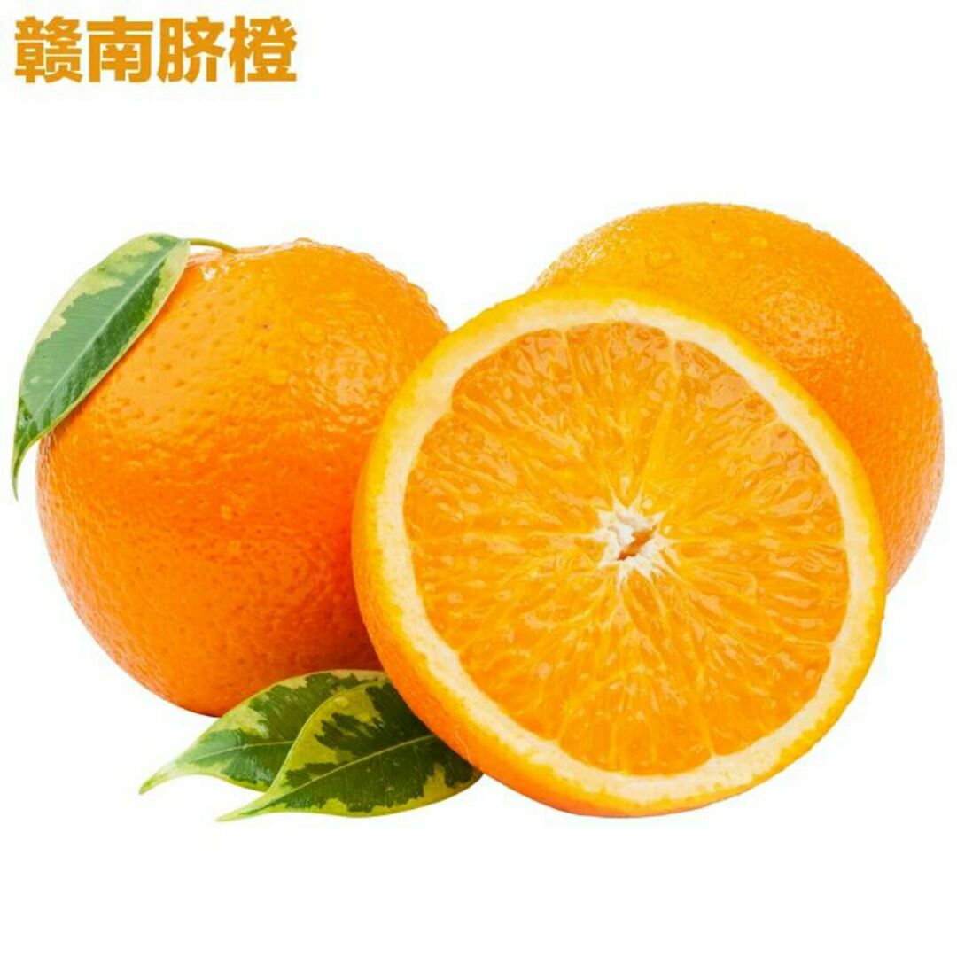 农家果园橙子
