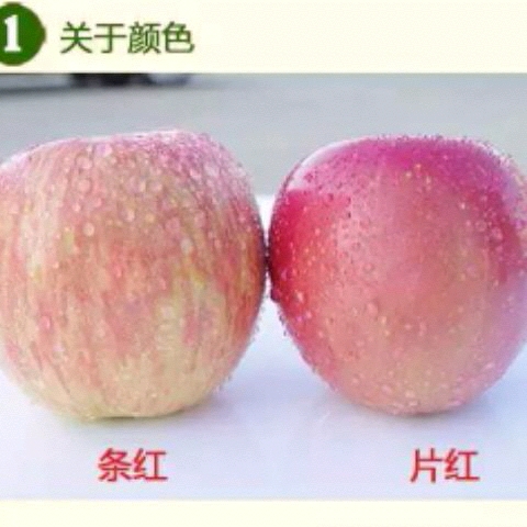 新鲜自家产的纸袋大红富士苹果