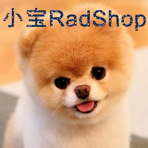 小宝RadShop淘宝店铺怎么样淘宝店