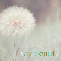 say beauty