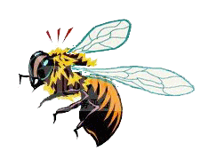 世博蜂业