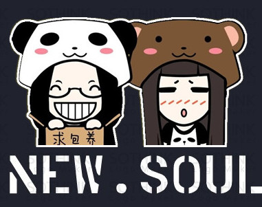 New Soul 2016