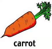 Carrots' 花园