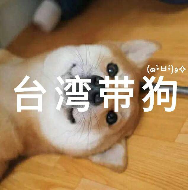 台湾带狗