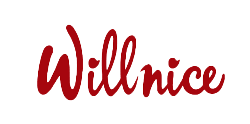 willnice旗舰店