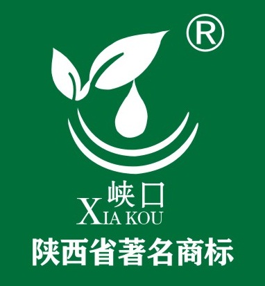 绿珠茶业是正品吗淘宝店