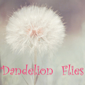 Dandelion Flies是正品吗淘宝店