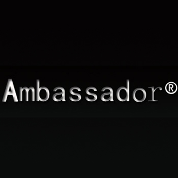 品牌箱包ambassador