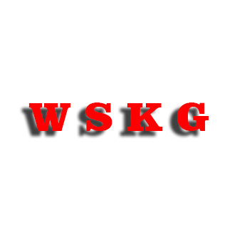 W S K G 黑壳