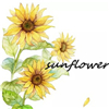 sunflower韩国进口饰品