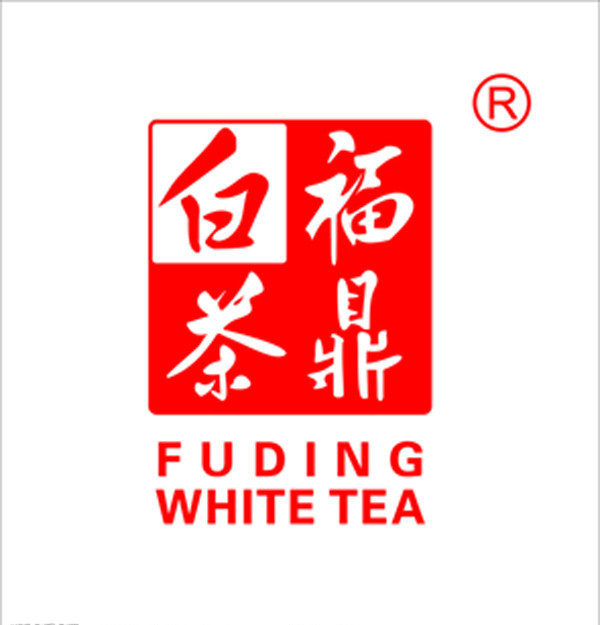 白茶汇