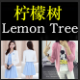 Lemon Tree实拍韩版女装