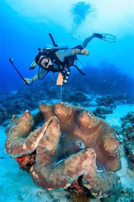 珊瑚海水族Club
