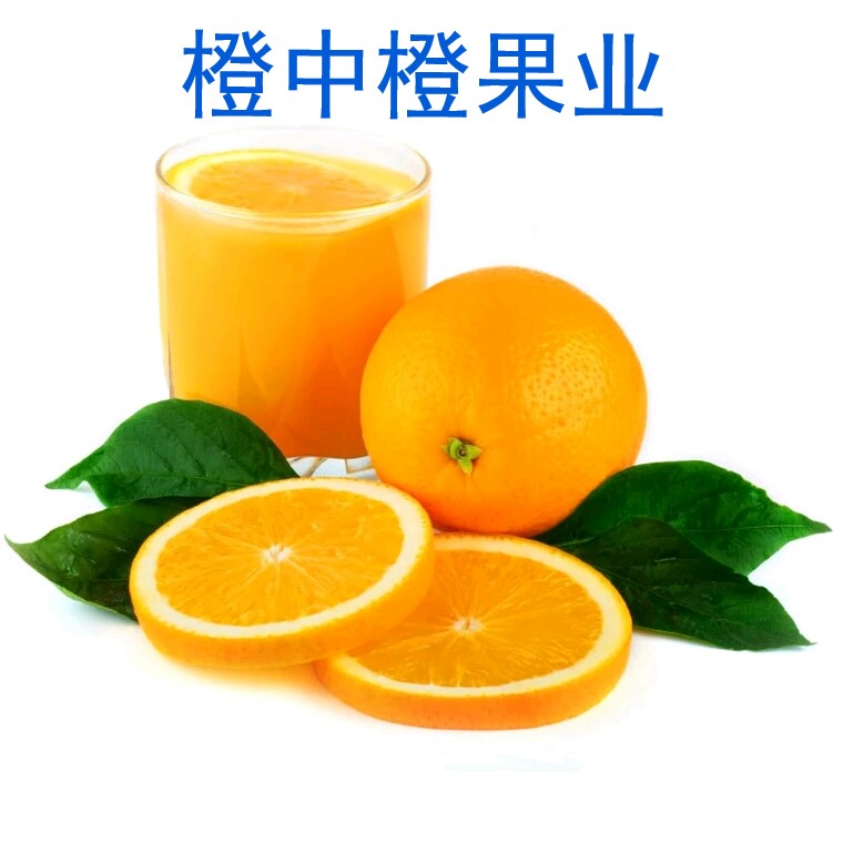 橙中橙果业